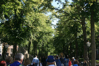 A group of volunteers planting native trees along a winding park trail on a sunny day.