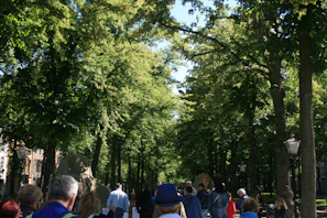 A group of community members enjoying a guided nature walk on a sunny day