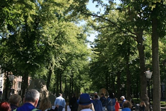 A group of volunteers planting trees together on a sunny day.