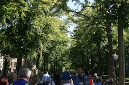 A group of veterans participating in a guided outdoor therapy session on a sunny day.