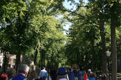 Volunteers planting trees along a village path on a sunny day.