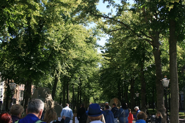 A group of volunteers planting trees along a winding forest trail on a sunny day.