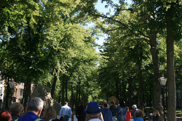 A group of volunteers planting trees together on a sunny day.