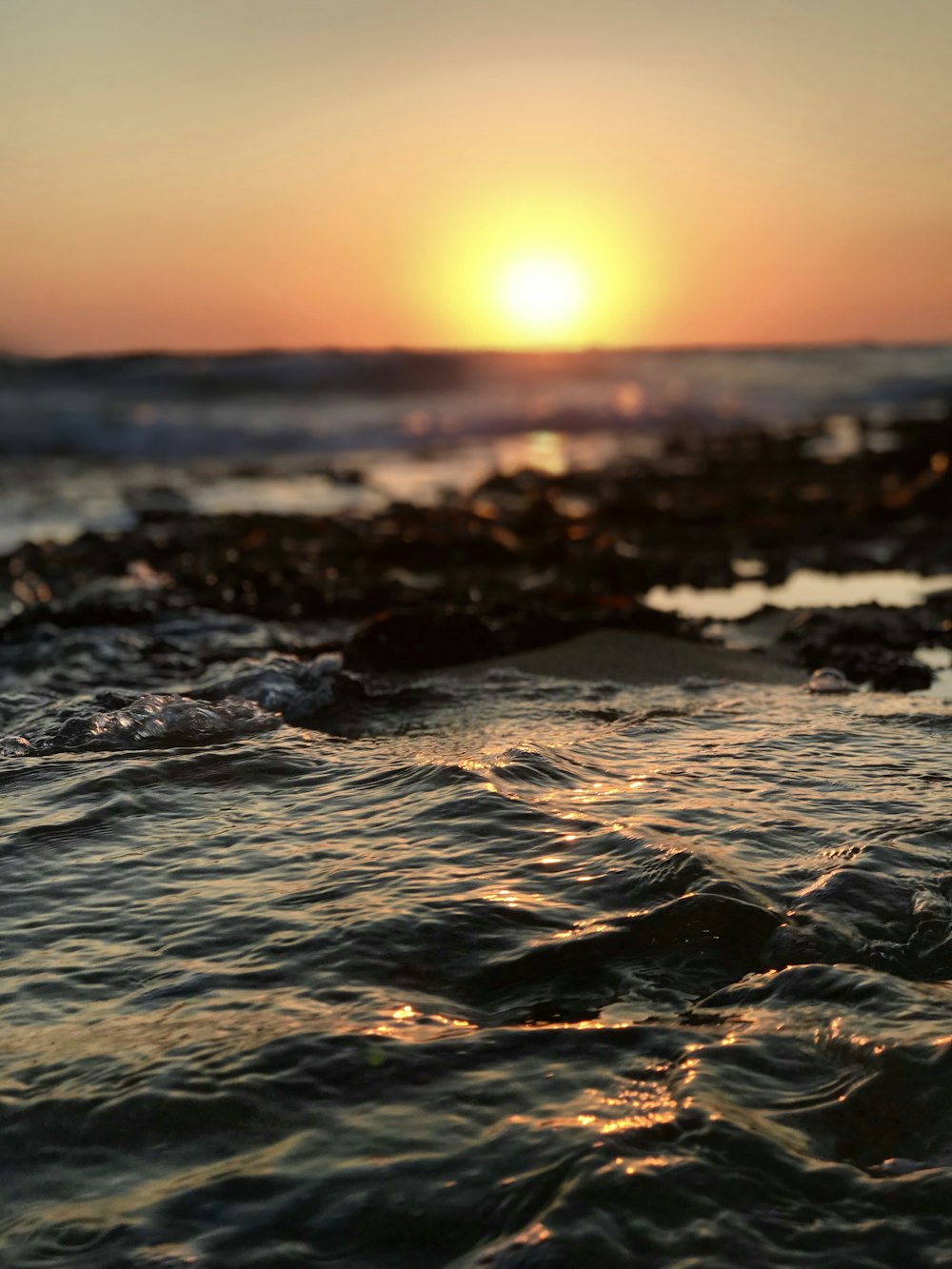 sea waves during golden hour