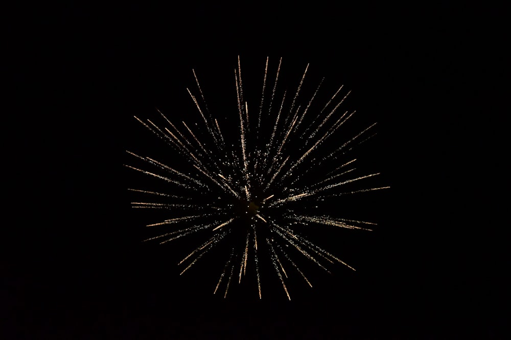 firework