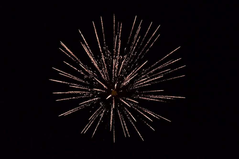 fireworks display during nighttime