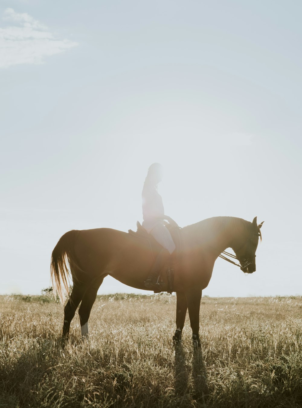 person riding on horse back