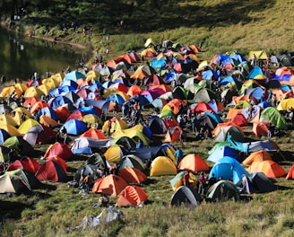 assorted-color outdoor tents