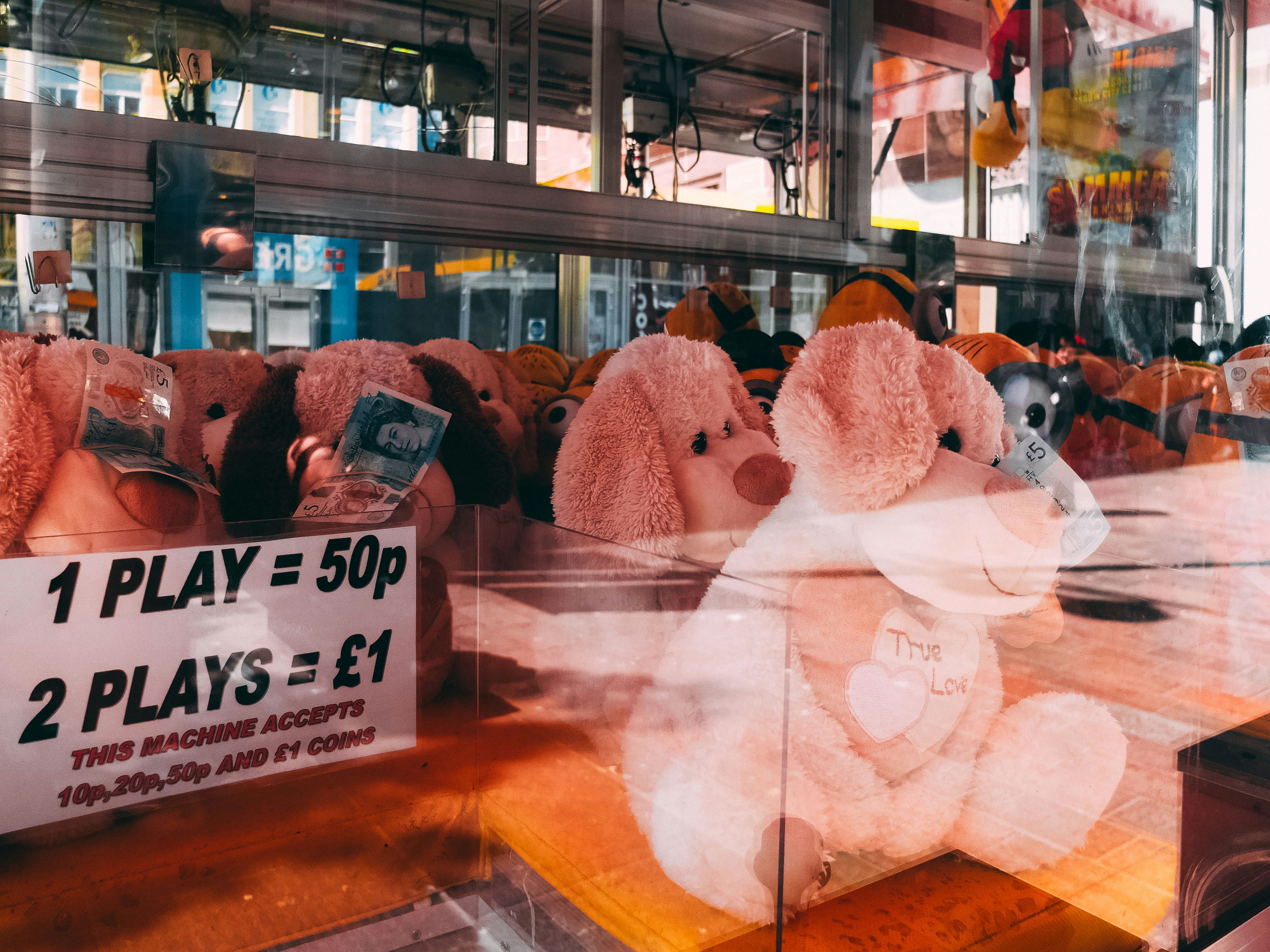 Was Google Really Censoring Elhaik's Khazar Research in 2013?