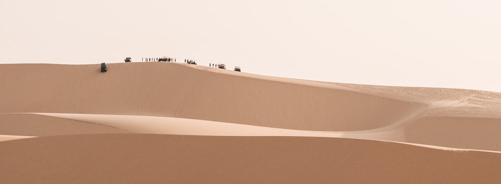 désert de sable