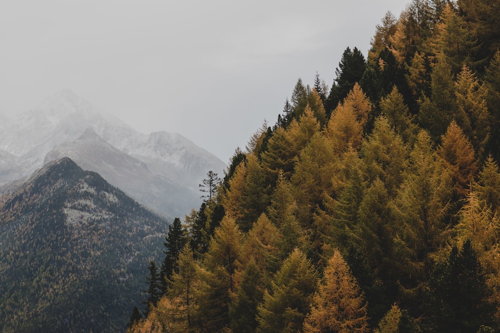 Photographie aérienne de montagne