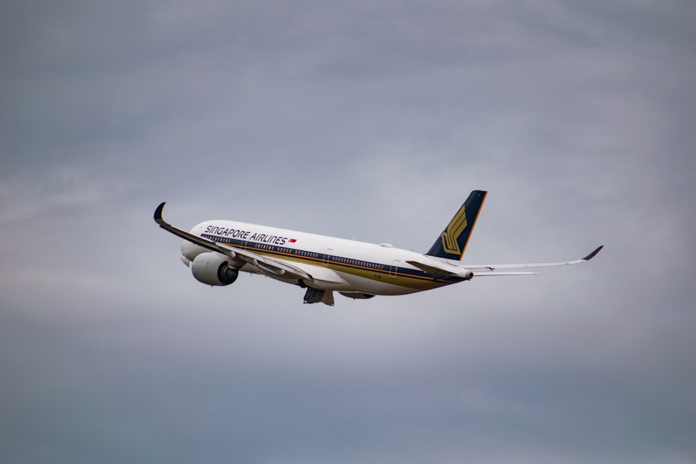 曇りの日に飛ぶ白いシンガポール航空の飛行機