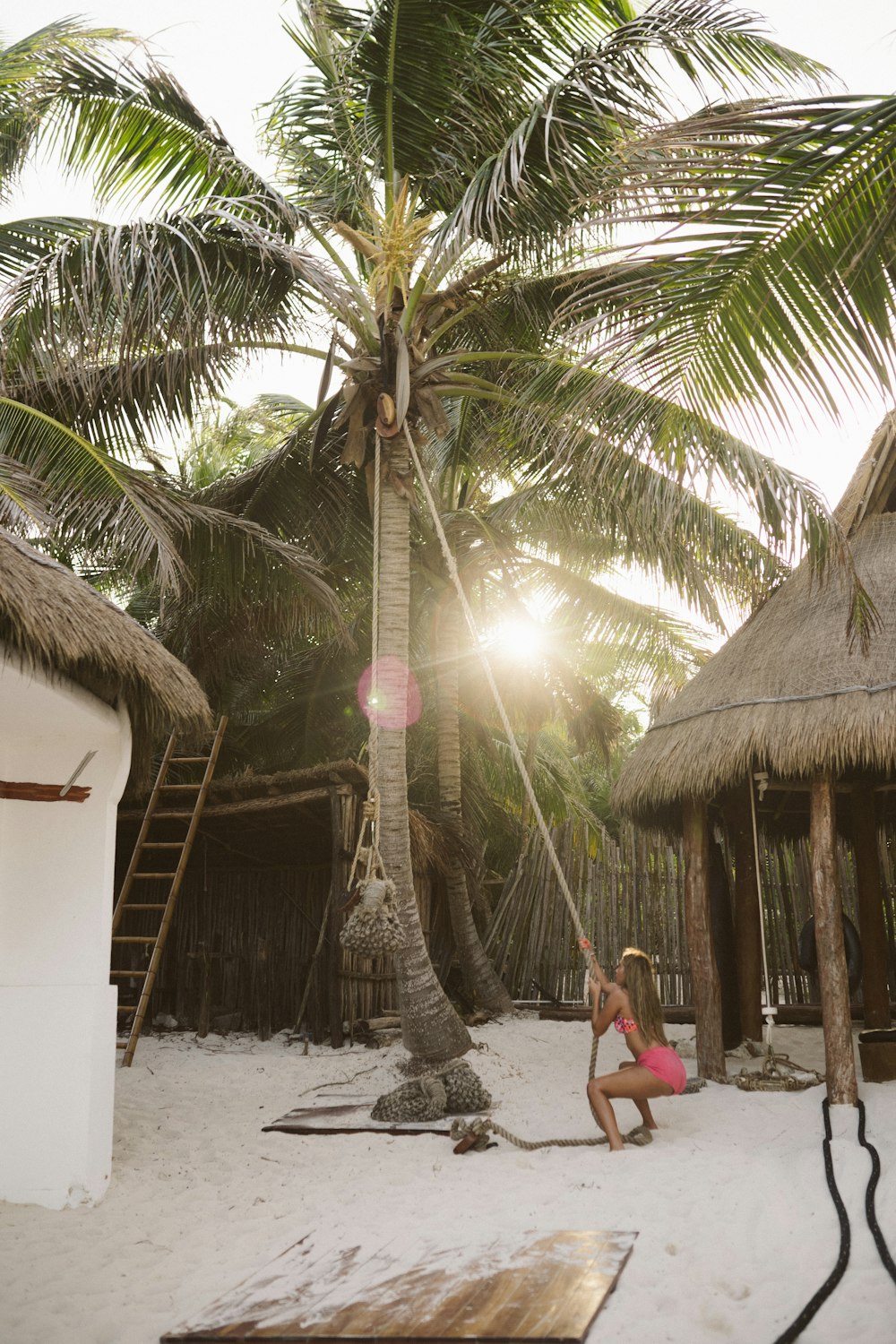 woman pulling rope from coconut tree on seashore during daytime