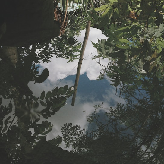 A serene image representing balance and prosperity.