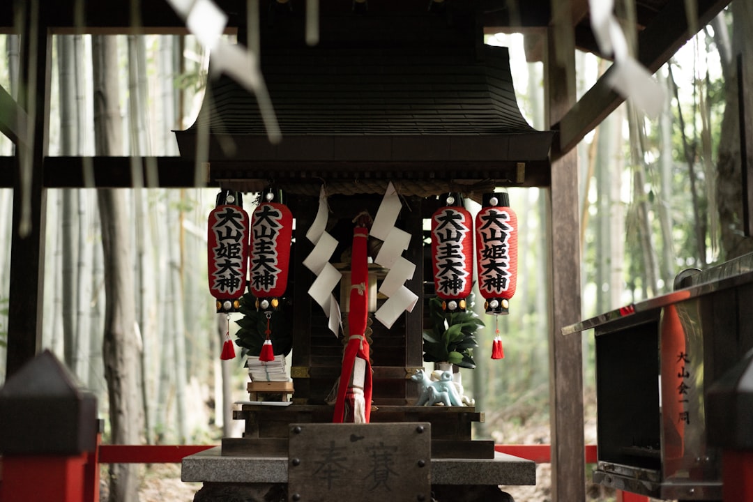 selective focus photography of red-and-white Japanese lanterns