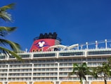A large cruise ship with multiple decks and balconies is seen under a clear blue sky. The ship features a prominent red funnel with a cartoon character logo. Palm leaves are visible in the foreground, adding to the tropical feel of the scene.