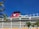 A large cruise ship with multiple decks and balconies is seen under a clear blue sky. The ship features a prominent red funnel with a cartoon character logo. Palm leaves are visible in the foreground, adding to the tropical feel of the scene.