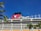 A large cruise ship with multiple decks and balconies is seen under a clear blue sky. The ship features a prominent red funnel with a cartoon character logo. Palm leaves are visible in the foreground, adding to the tropical feel of the scene.