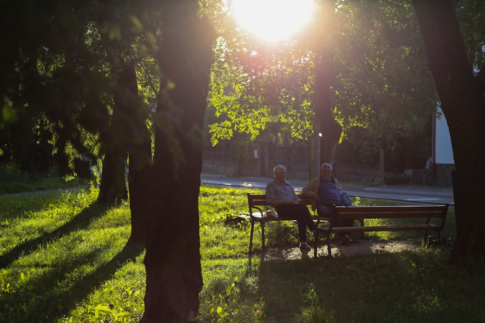 men sitting on bench under the tree