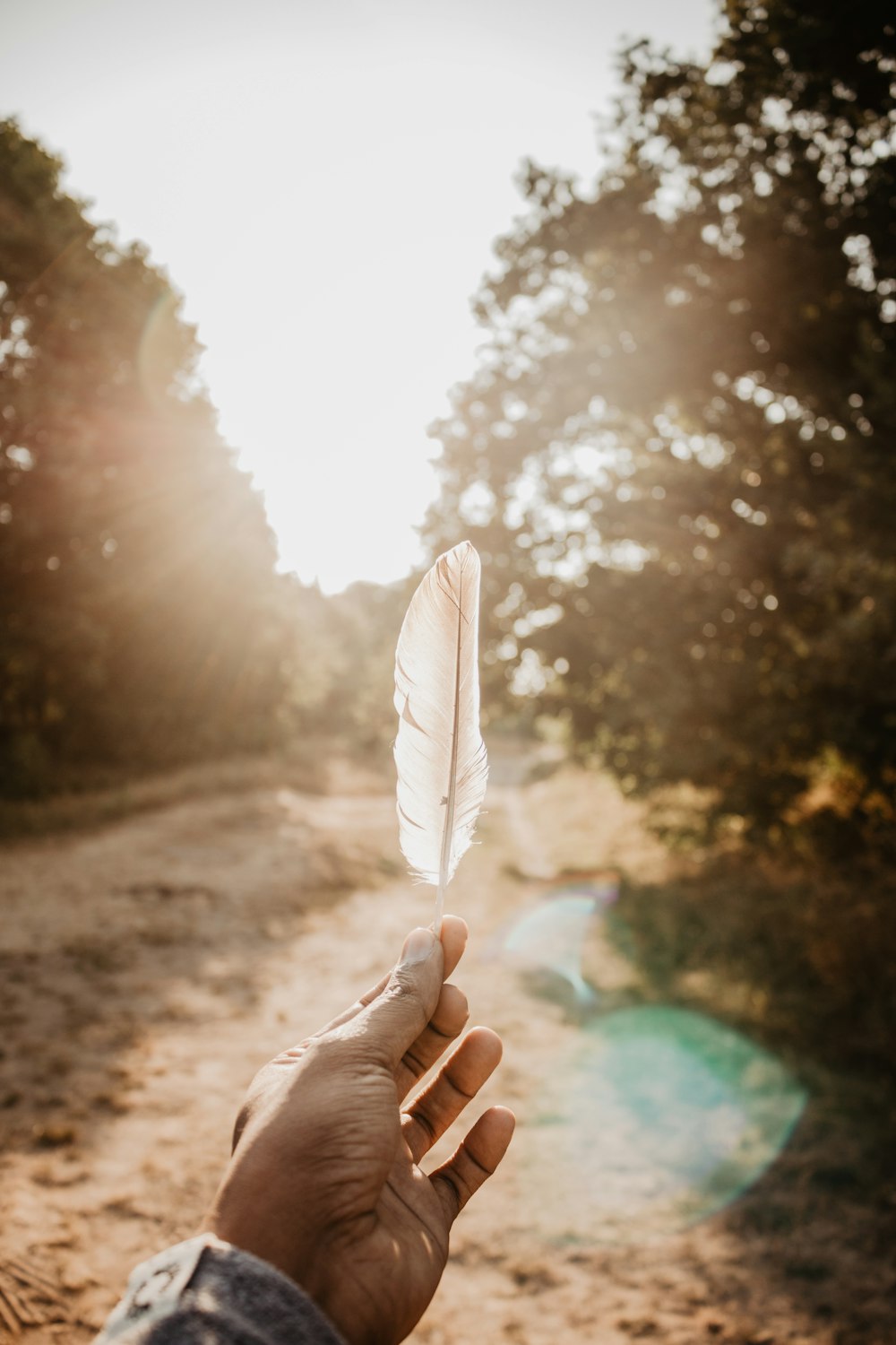 person holding white feather during daytime