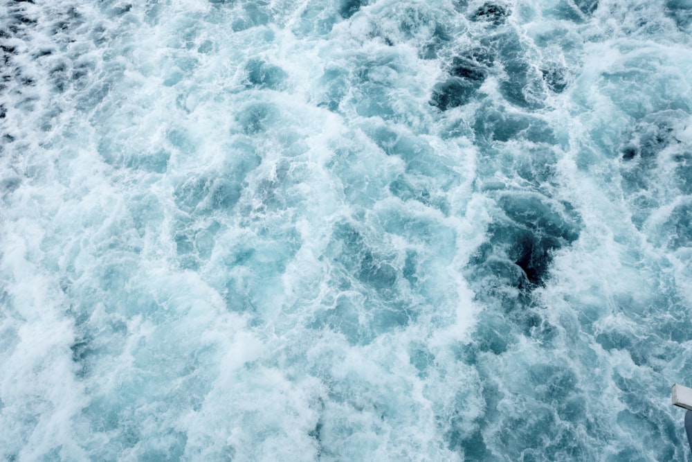 selective photography of body of water