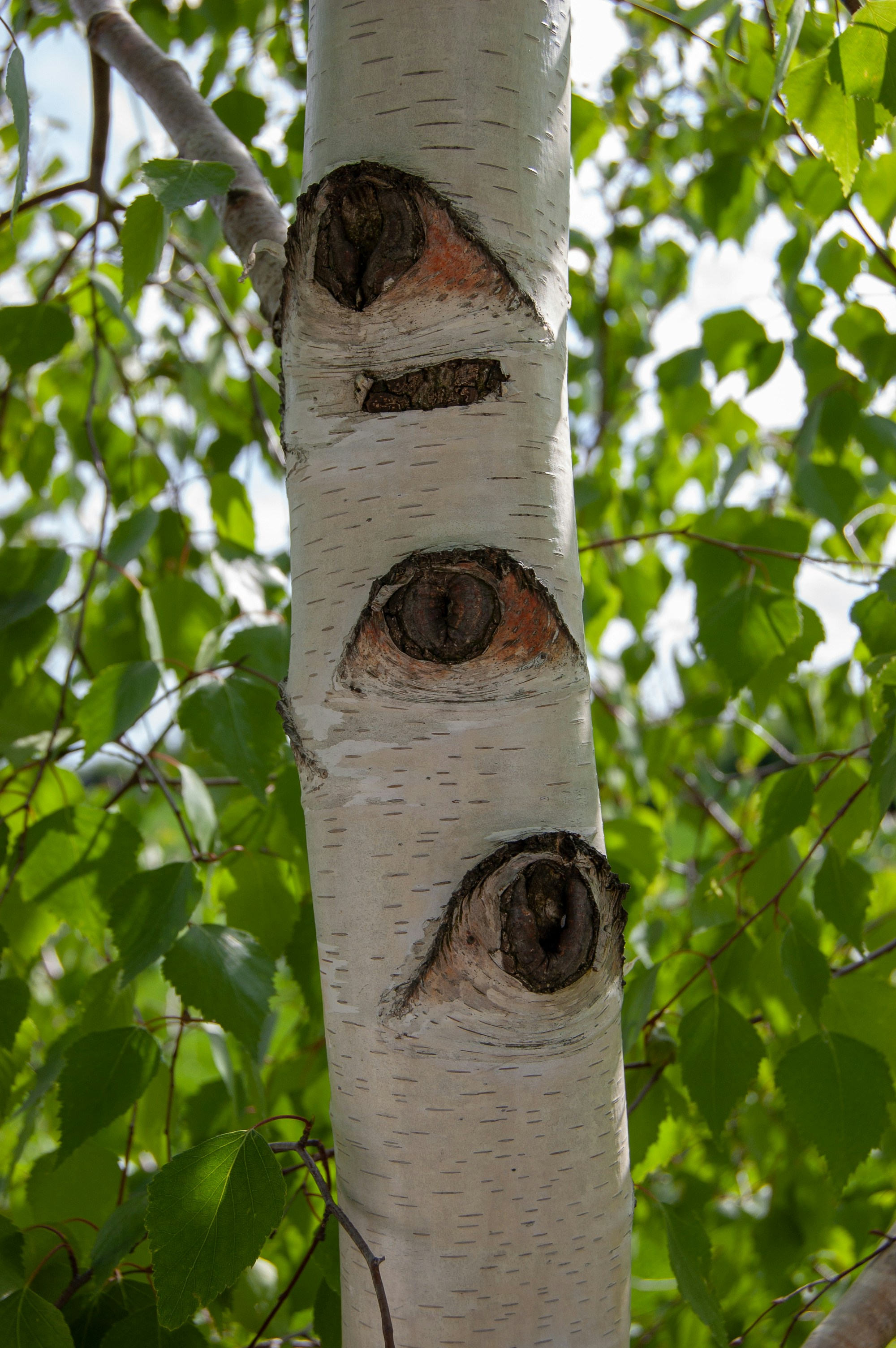 photo 1532894861937 7d686ddfb21c?ixlib=rb 4.0