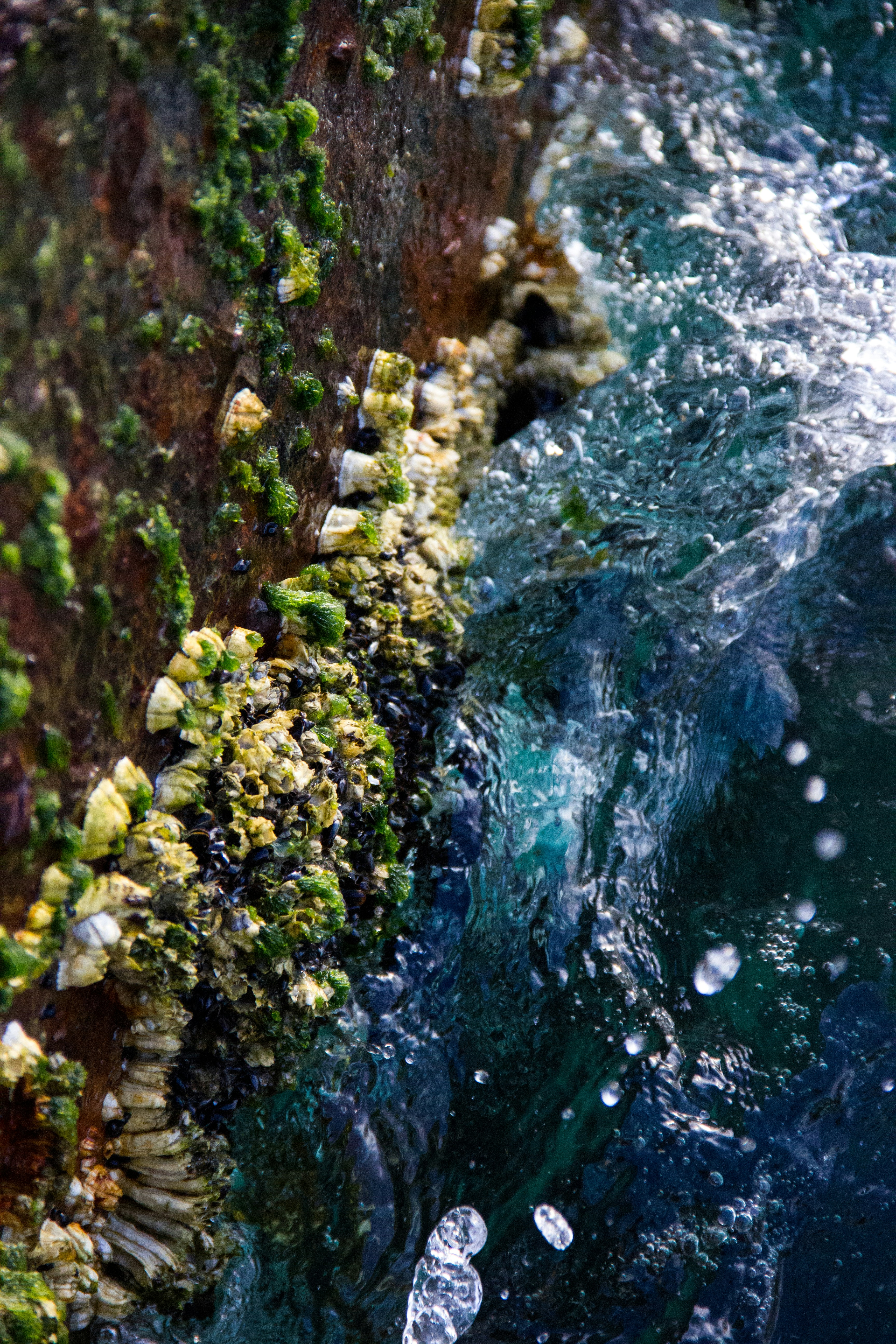 Photo by maimoeslund