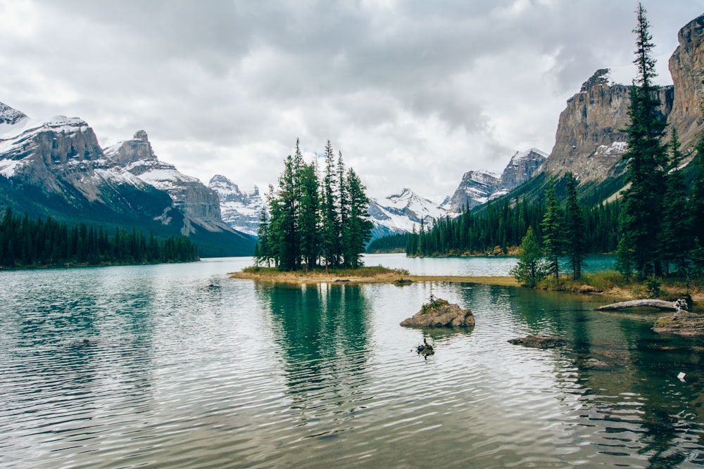 Limite des pins verts sur le lac pendant la journée