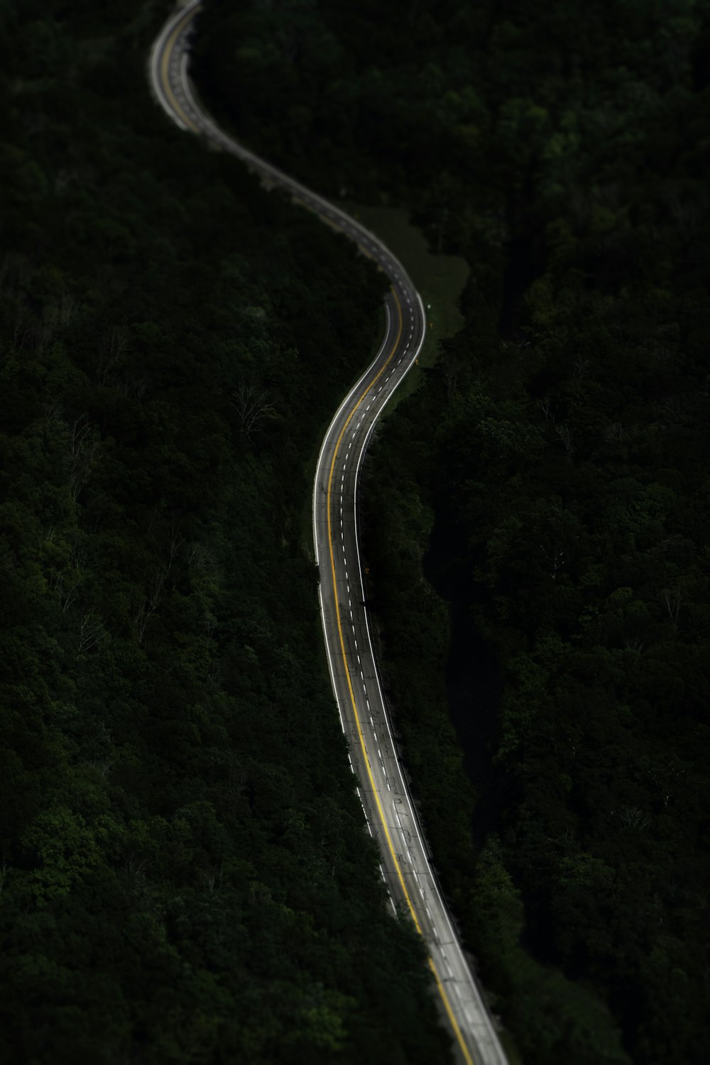 背の高い木々に囲まれた曲がりくねったアスファルト道路の航空写真