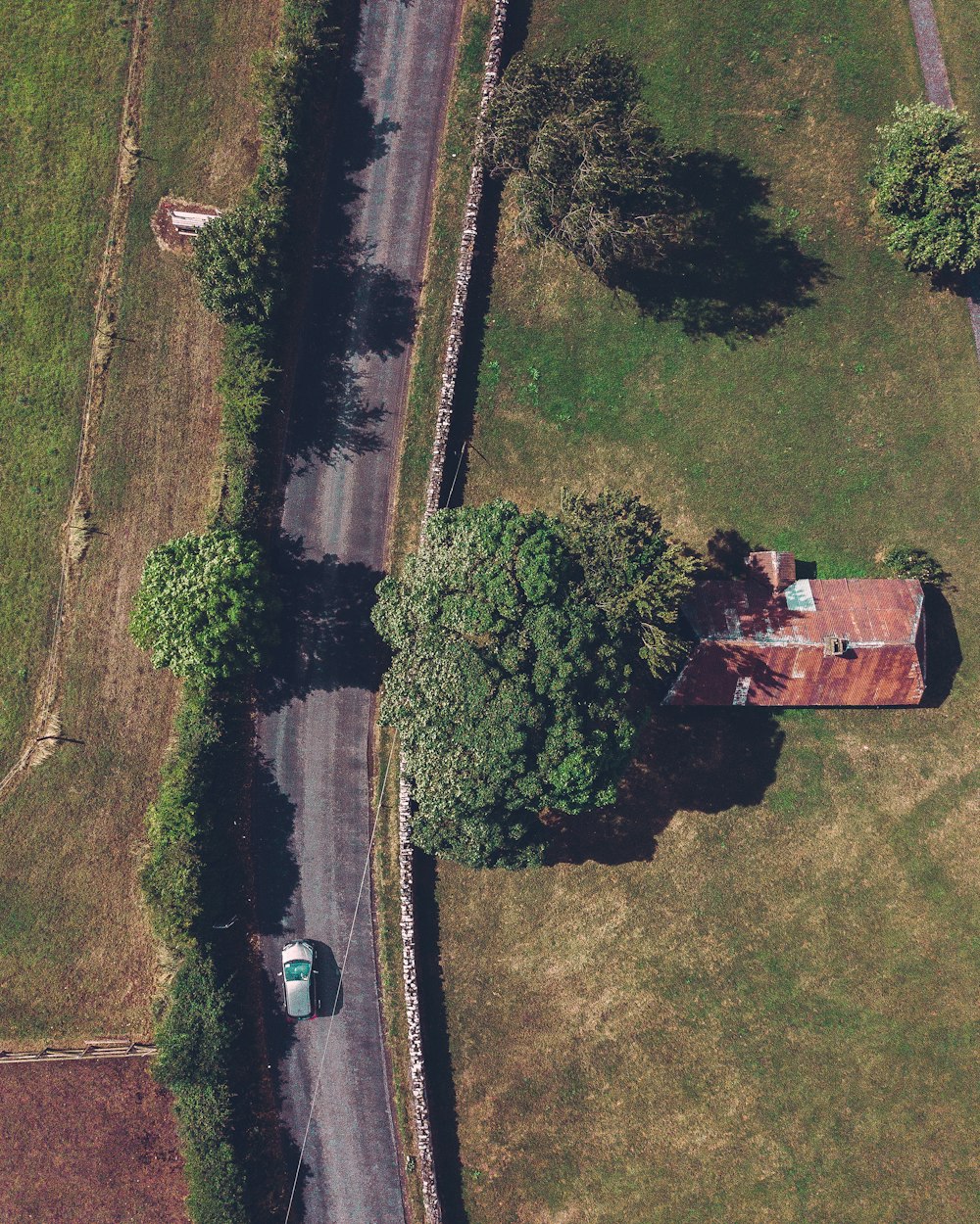 road surrounded by green grass field and trees