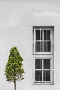 Clear Glass Window
