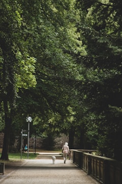 Caregiver and senior enjoying a peaceful walk outside in a neighborhood park.