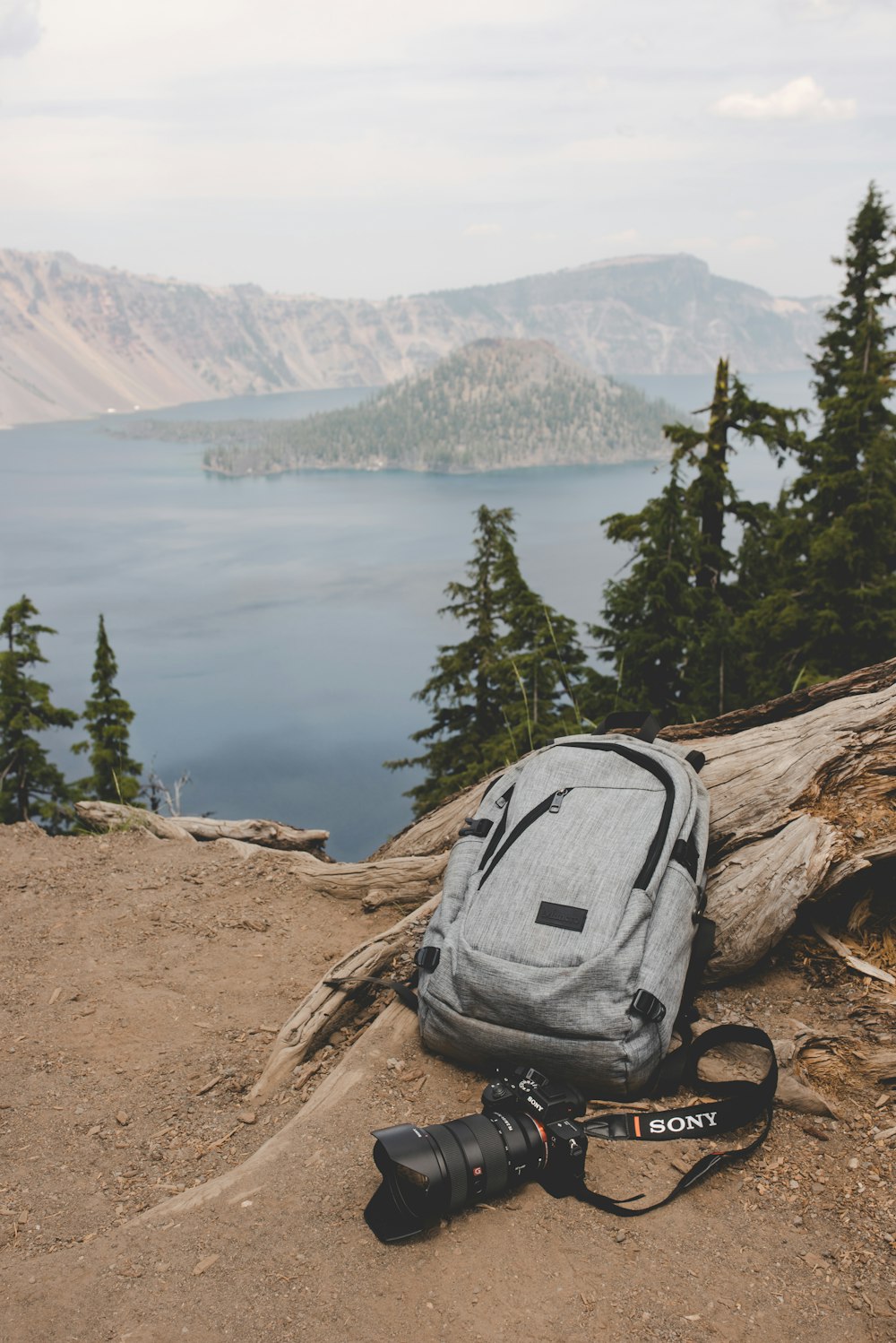 gray and black backpack beside gray tree log and black Sony DSLR camera