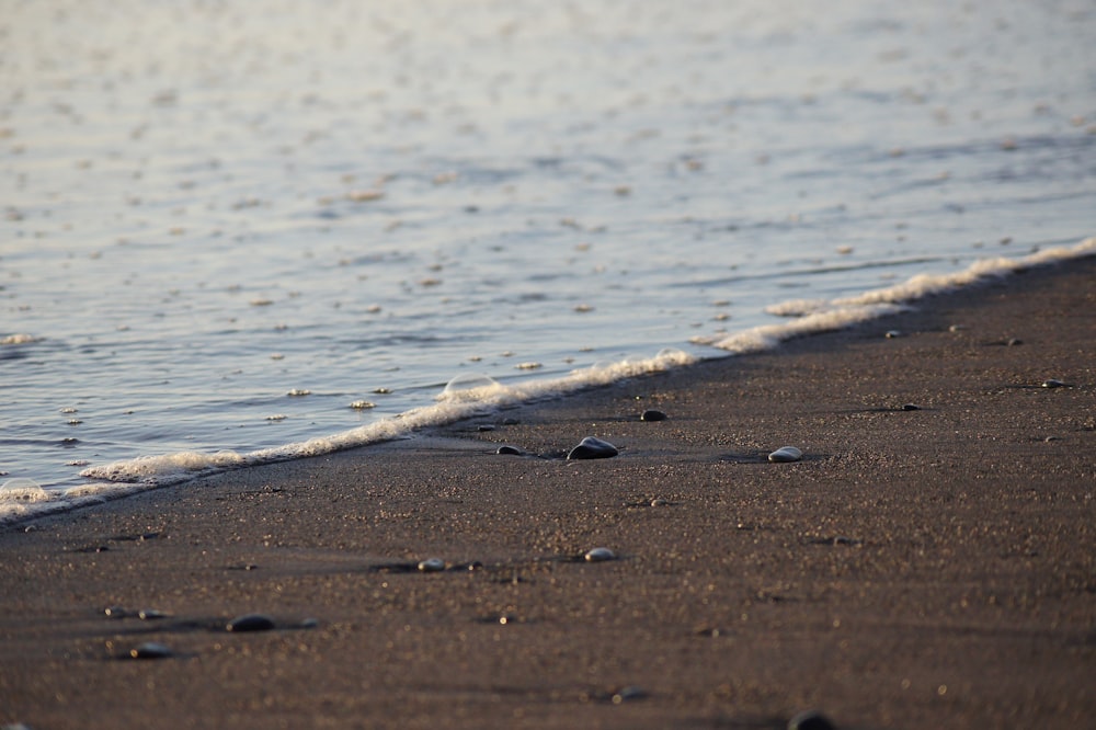 pebbles at shore