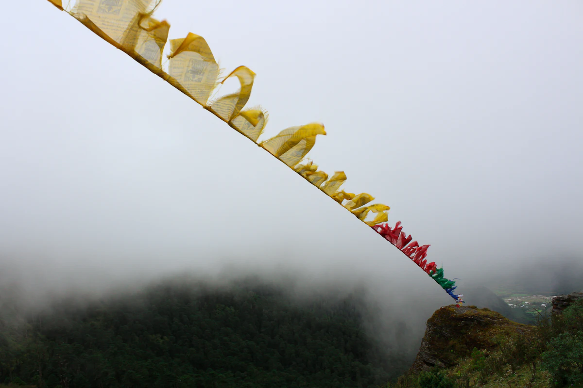 Druk Path Trek photo 3