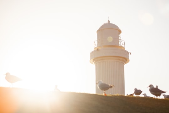 Wollongong Head Lighthouse things to do in Wildes Meadow