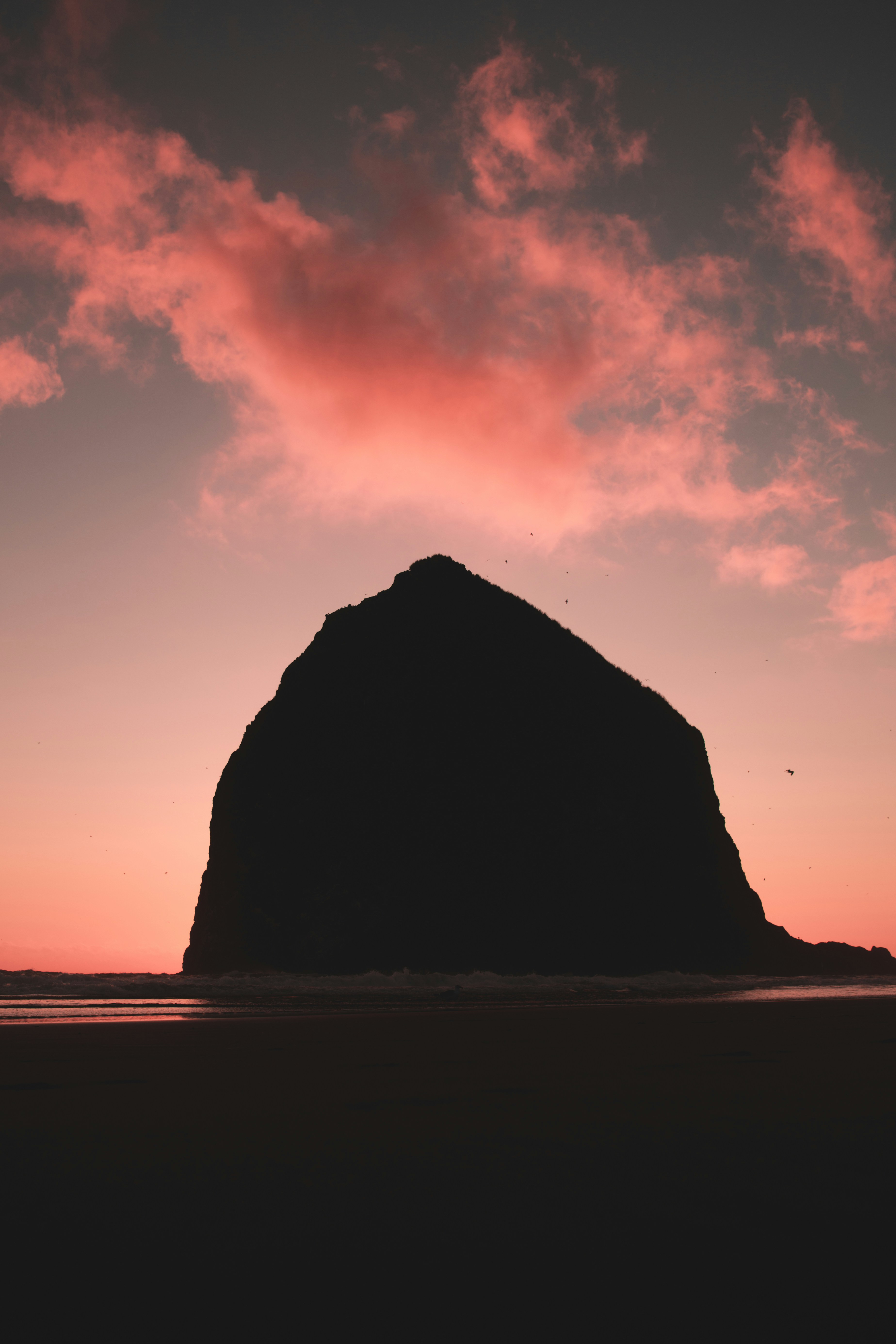 Photo by shotbyjohnny