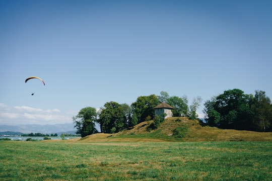 parachuting person near tree in Insel Ufenau Switzerland