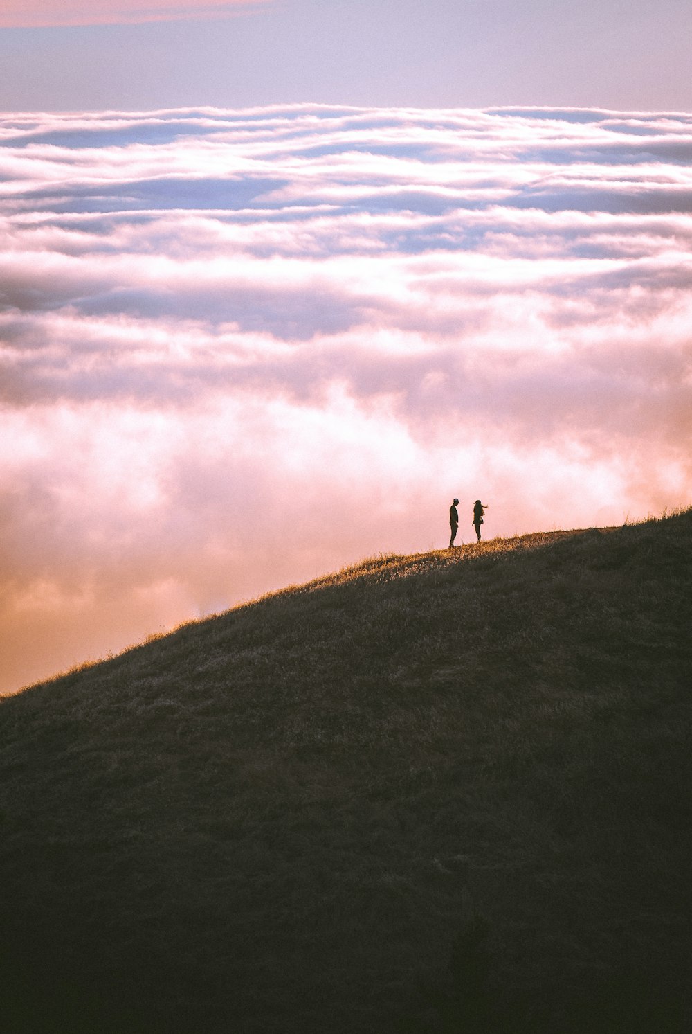 잔디 필드 산에 서 있는 커플