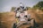 person riding blue all-terrain vehicle