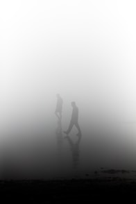 silhouette of man during foggy day