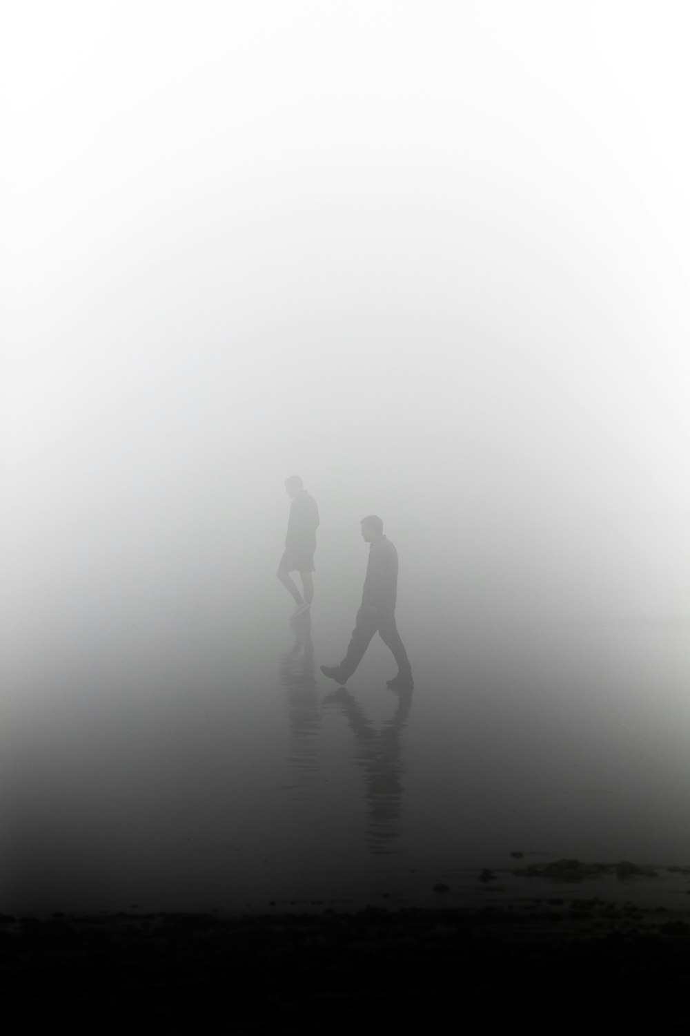 silhouette of man during foggy day