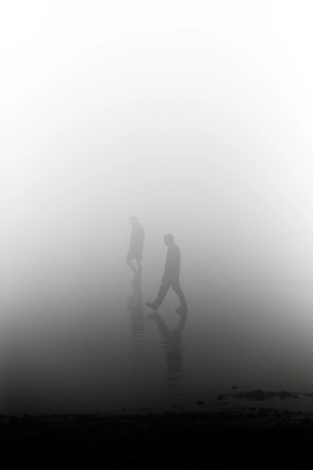 silhouette of man during foggy day