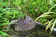 A garden scene featuring a decorative stone fish sculpture partially submerged in a small pond surrounded by lush green plants. The fish has an open mouth, and a small, delicate purple flower drapes from it. The area is filled with a variety of green foliage, including long leaves and small bushes, creating a serene natural setting.