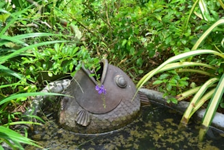 A garden scene featuring a decorative stone fish sculpture partially submerged in a small pond surrounded by lush green plants. The fish has an open mouth, and a small, delicate purple flower drapes from it. The area is filled with a variety of green foliage, including long leaves and small bushes, creating a serene natural setting.