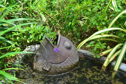 A garden scene featuring a decorative stone fish sculpture partially submerged in a small pond surrounded by lush green plants. The fish has an open mouth, and a small, delicate purple flower drapes from it. The area is filled with a variety of green foliage, including long leaves and small bushes, creating a serene natural setting.