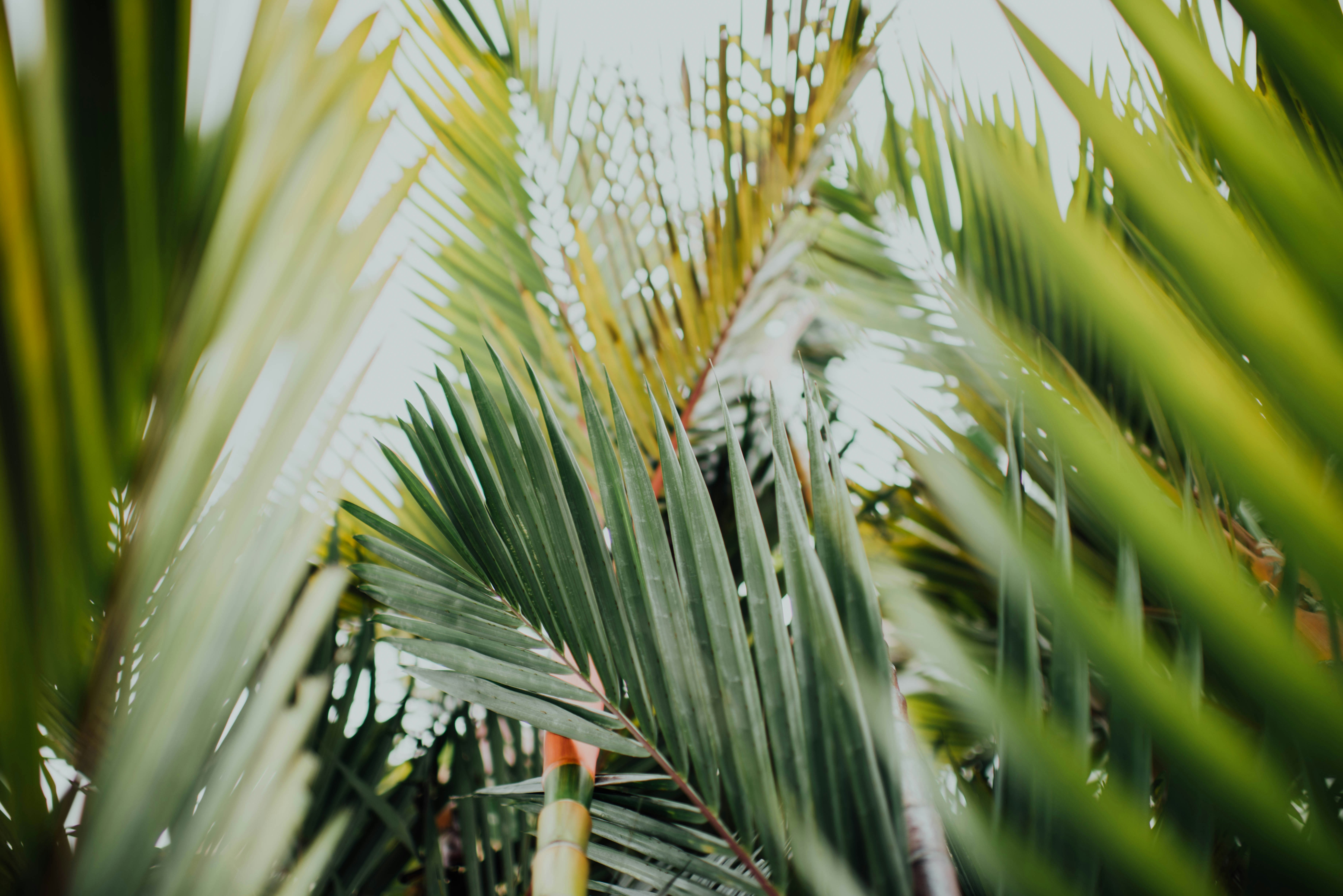 Photo by chuttersnap