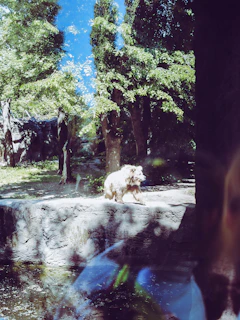 A majestic grizzly bear standing near a riverbank surrounded by lush green foliage