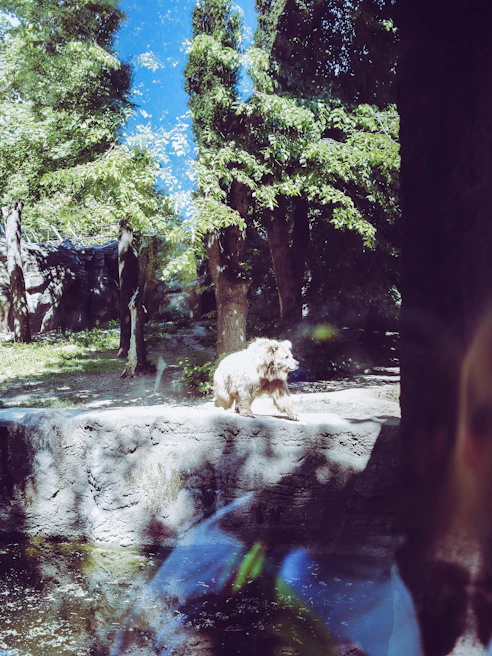 A majestic grizzly bear standing near a riverbank surrounded by lush green foliage