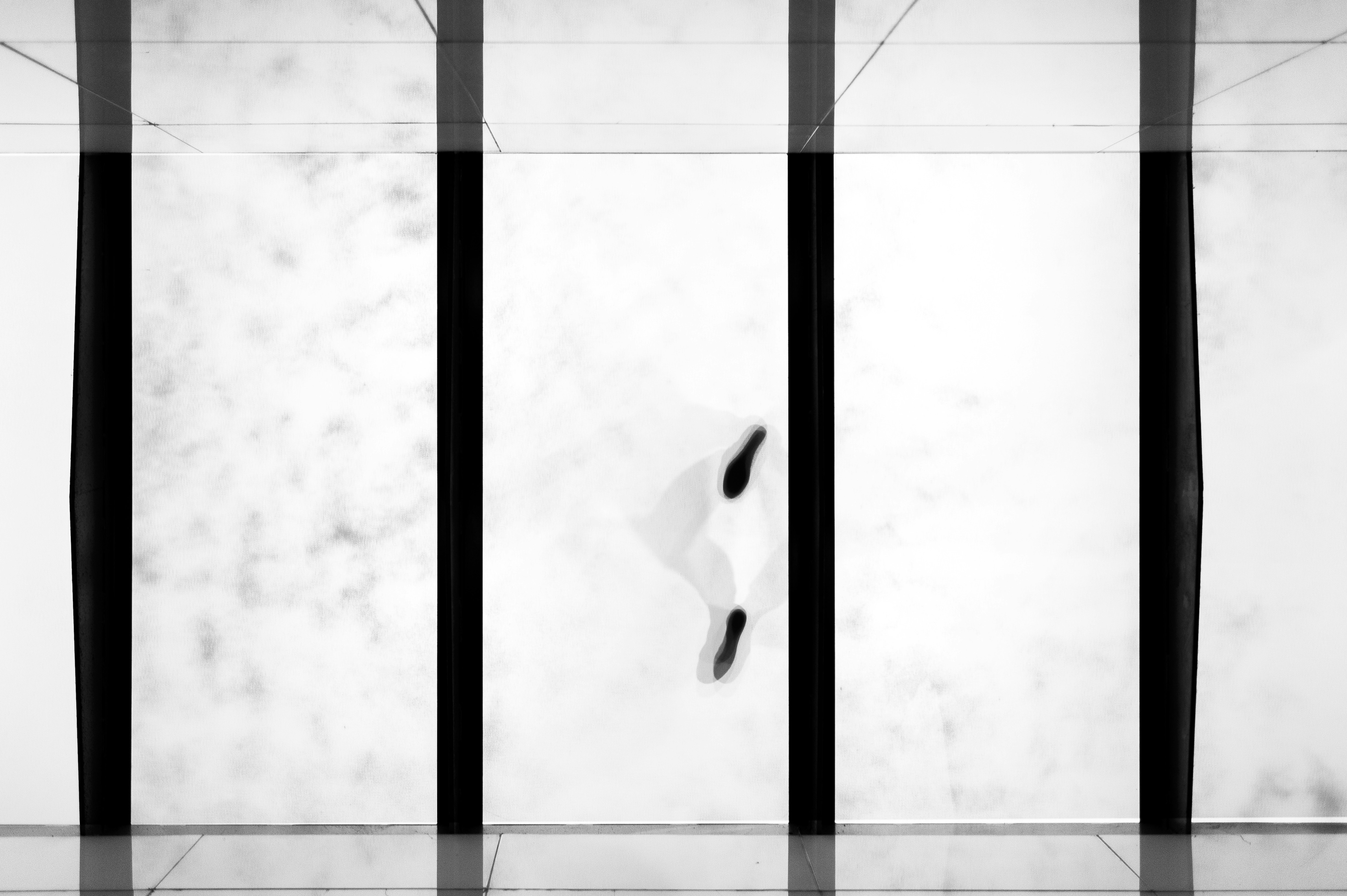 Photo by dominicbrueggerch